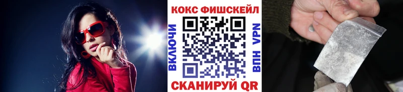 Купить закладки  Ноябрьск  Cocaine FishScale 